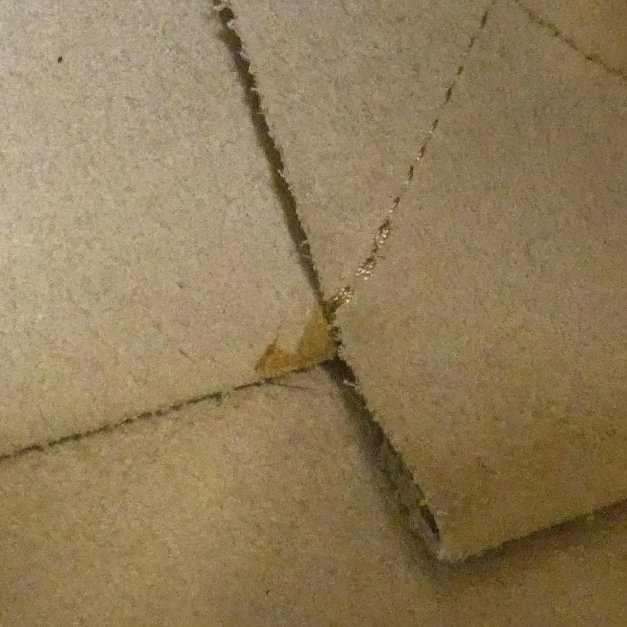 セリーヌ スモール バーティカル バイ カバス 176163XBB バッグ