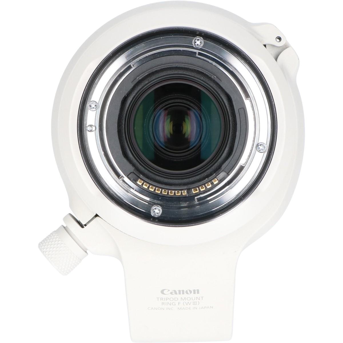RF100-500mm F4.5-7.1L IS USM