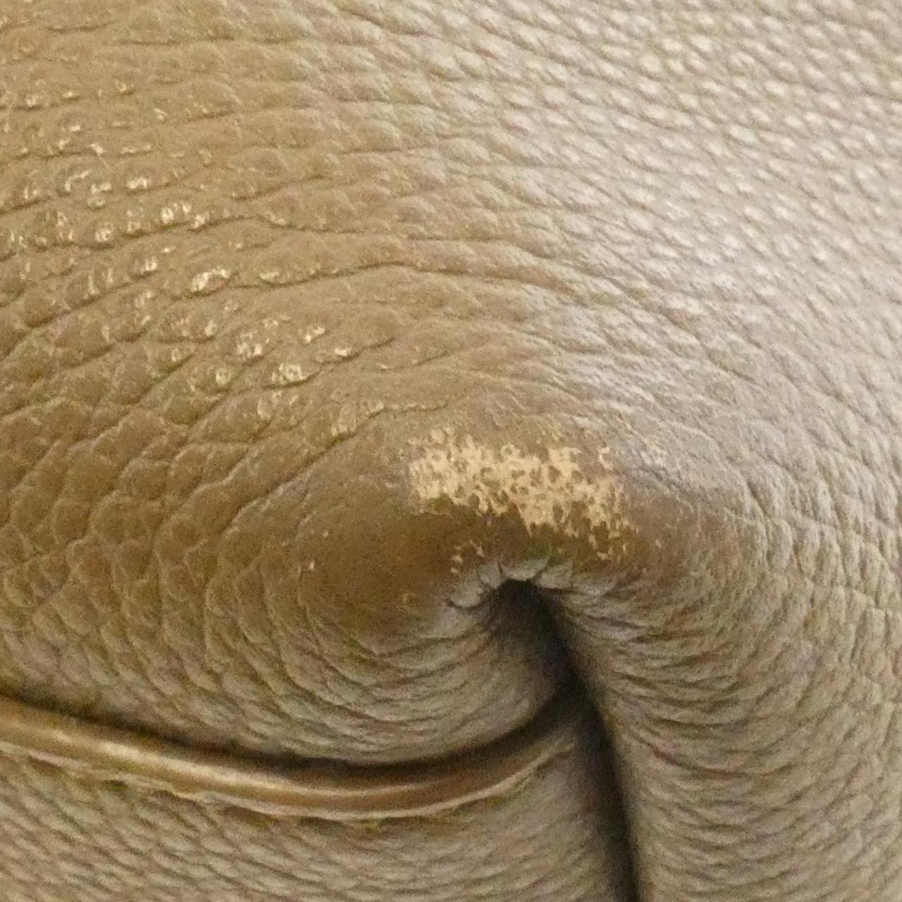 サンローラン ボールド ショッピングバッグ 676657 バッグ