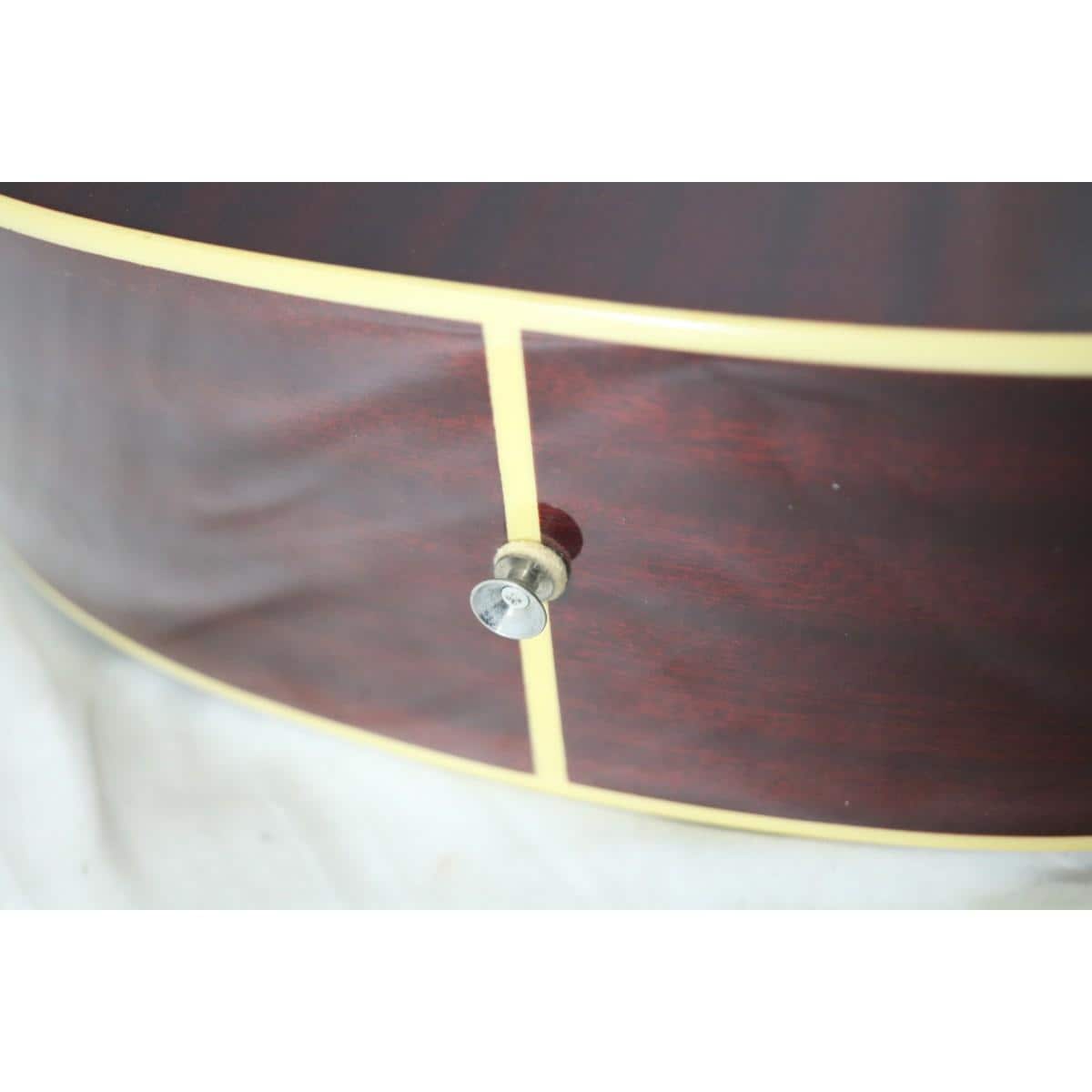 ＥＰＩＰＨＯＮＥ　ＨＵＭＭＩＮＧＢＩＲＤ