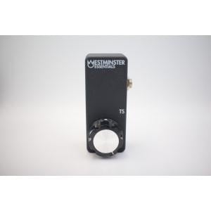 ＷＥＳＴＭＩＮＳＴＥＲ　ＥＦＦＥＣＴＳ　ＭＩＣＲＯ　ＥＸＰＲＥＳＳＩＯＮ（ＴＳ）