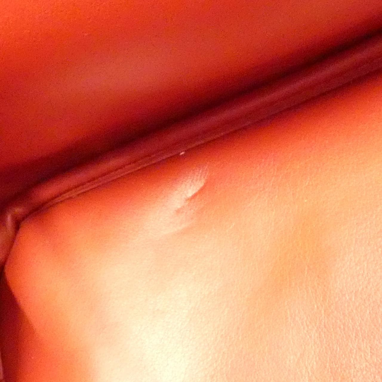 クリスチャンディオール ディオリッシモ M0902PSKY バッグ