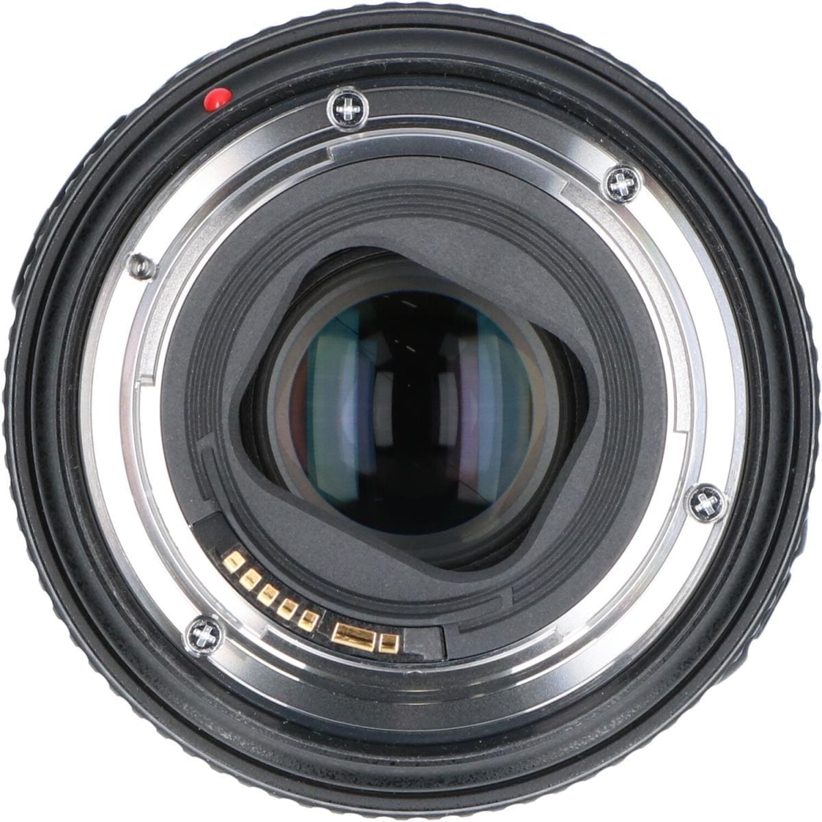 CANON EF24-105mm F4L IS II USM