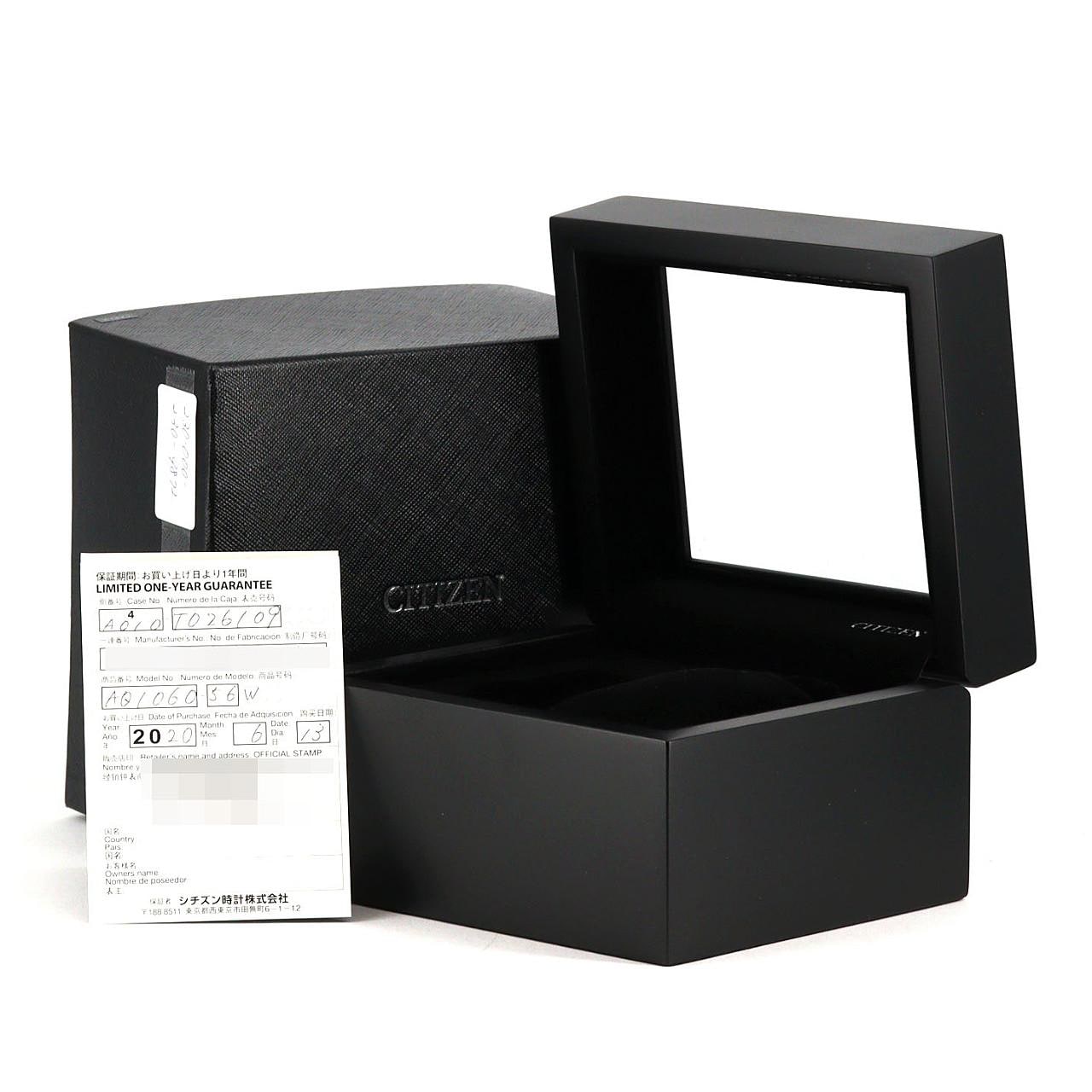 シチズン ザ･シチズン 真砂 LTD TI A010-T026109/AQ1060-56W TI ソーラークォーツ