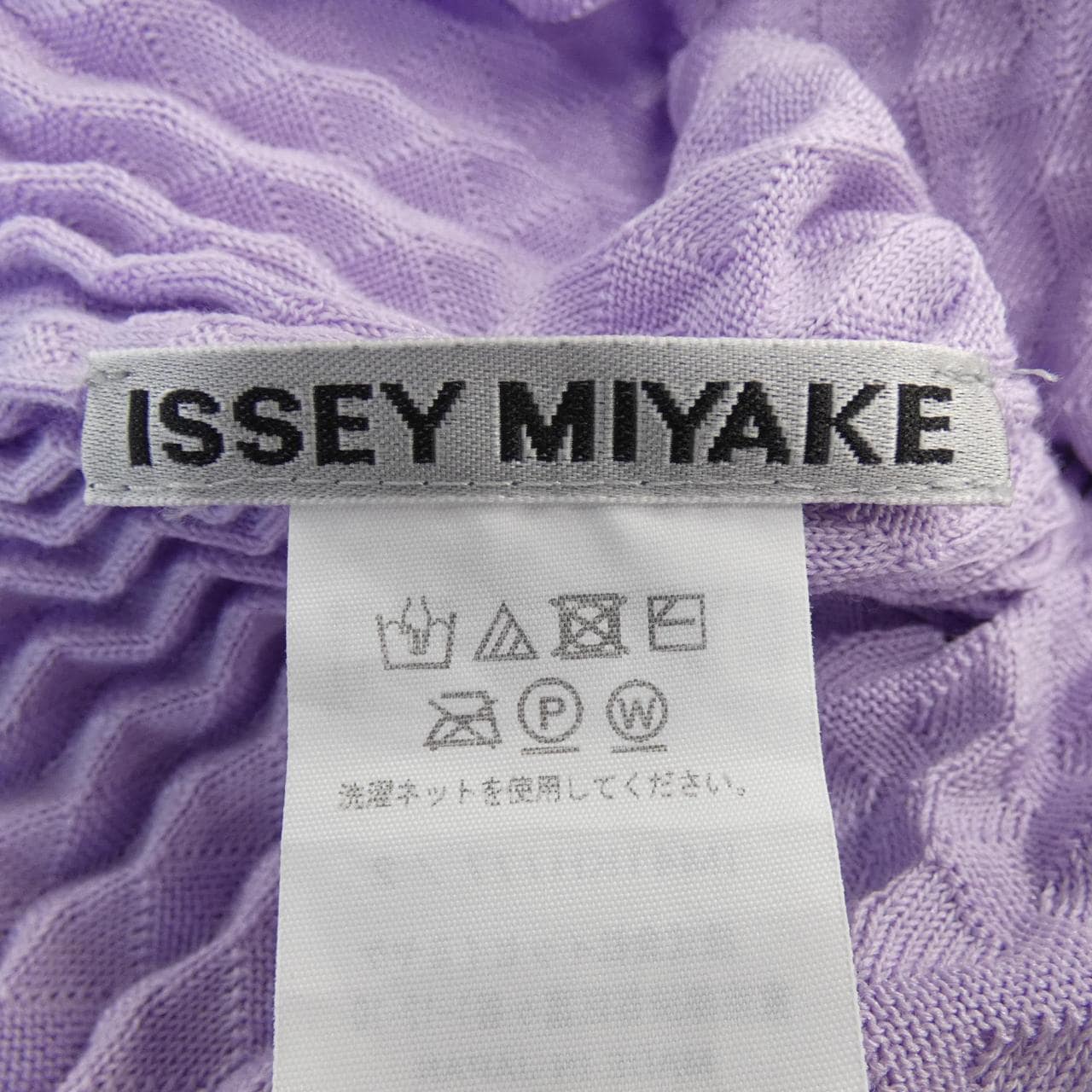 Issey Miyake ISSEY MIYAKE Dress