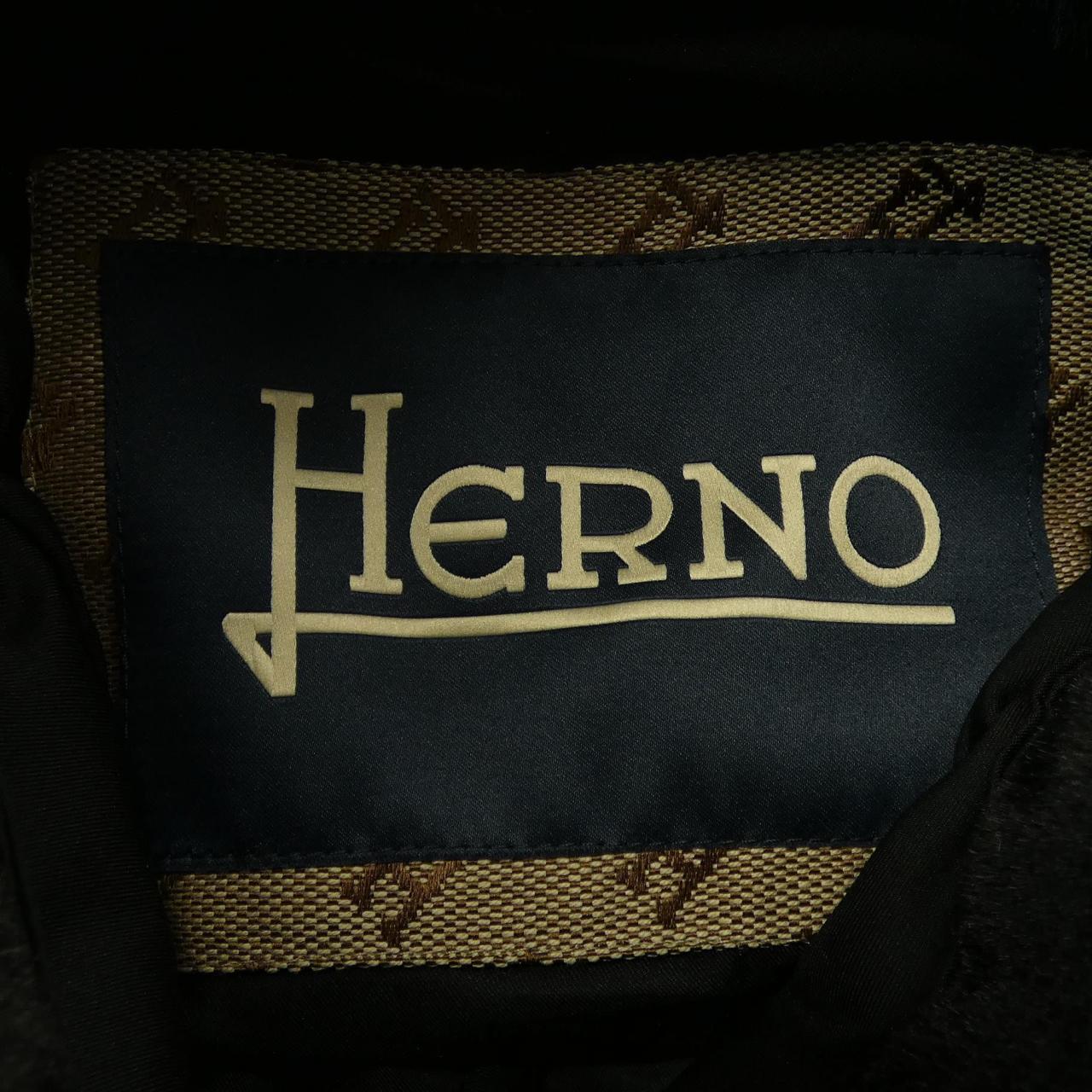 ヘルノ Herno ダウンブルゾン