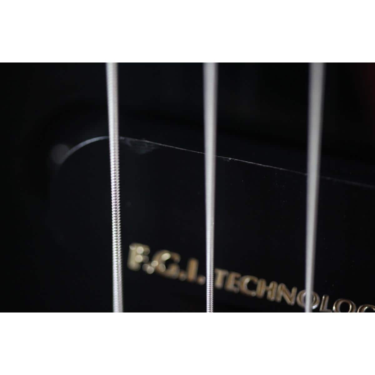 FERNANDES TE-95HT