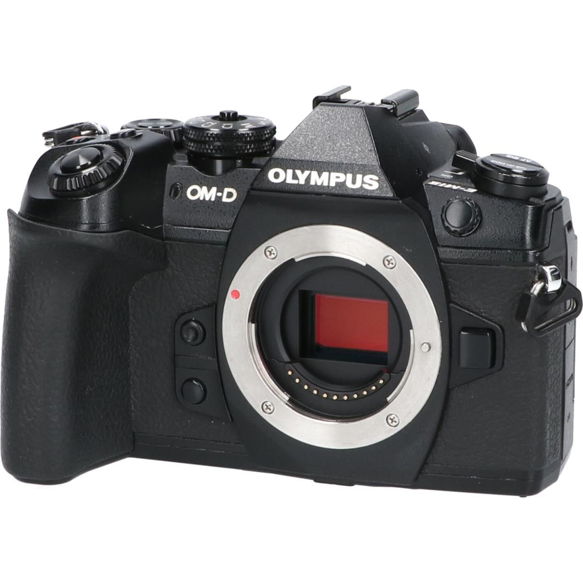 ＯＬＹＭＰＵＳ　Ｅ－Ｍ１　ＭＡＲＫ　ＩＩ