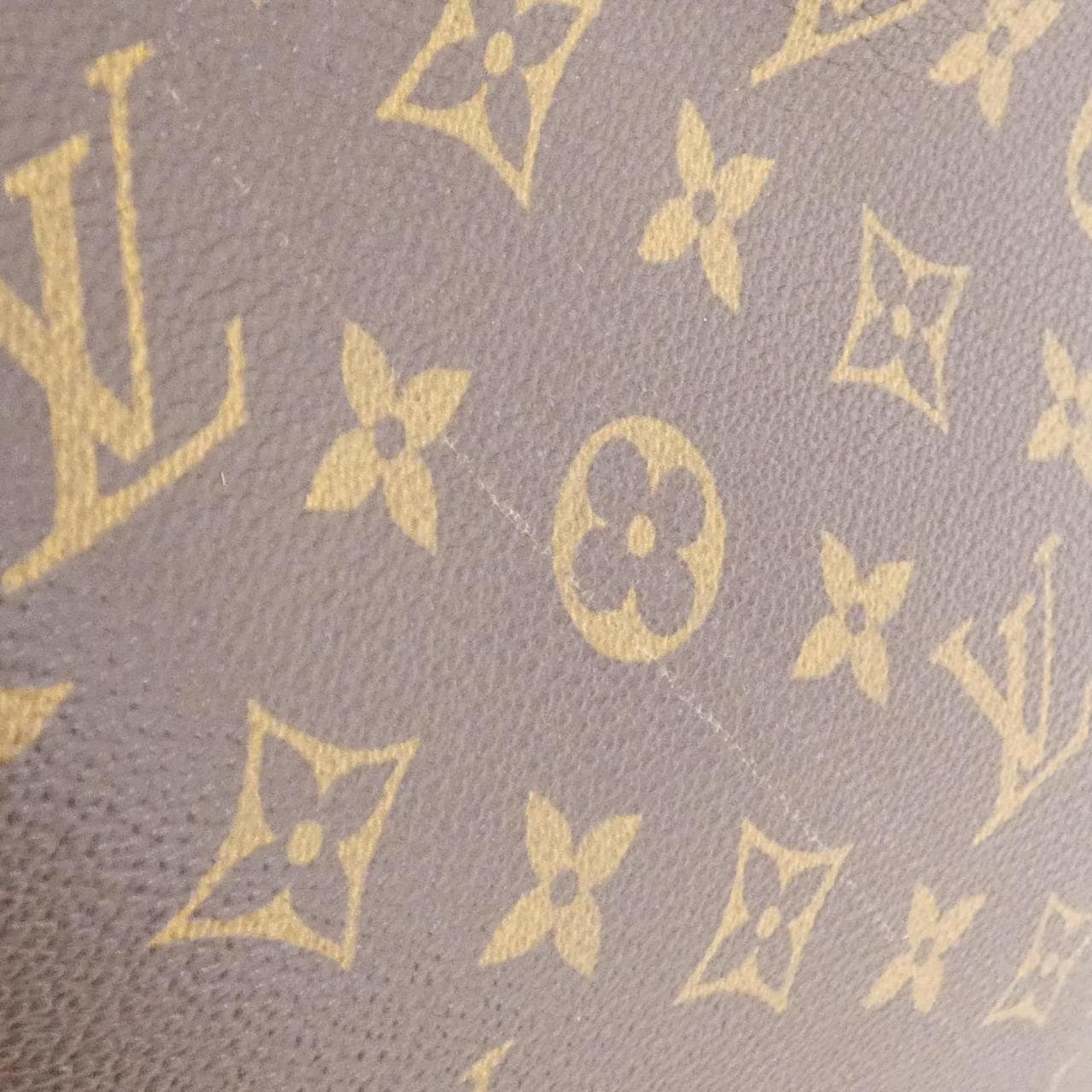 LOUIS VUITTON Monogram Excursion M41450 包