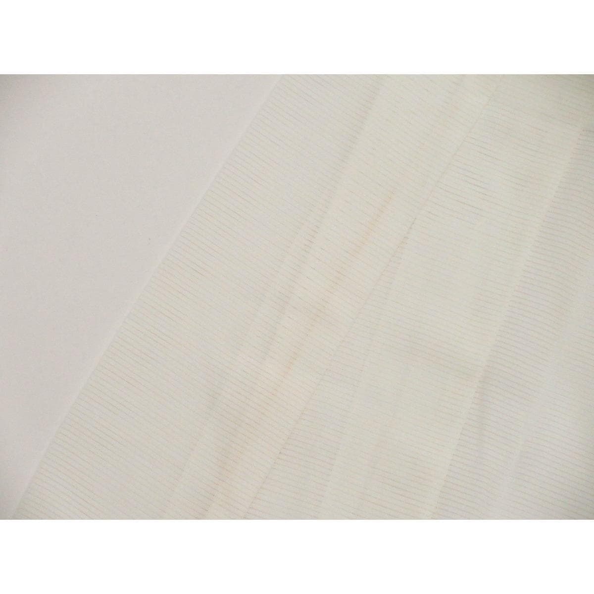 長襦袢　単衣　駒絽