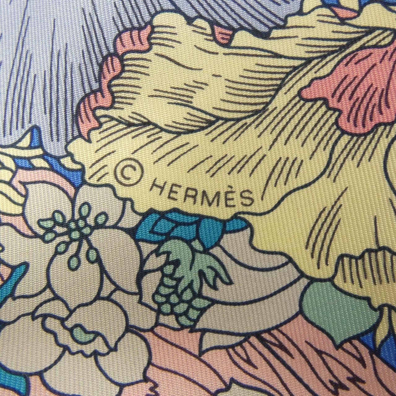 HERMES HERMES Shawls