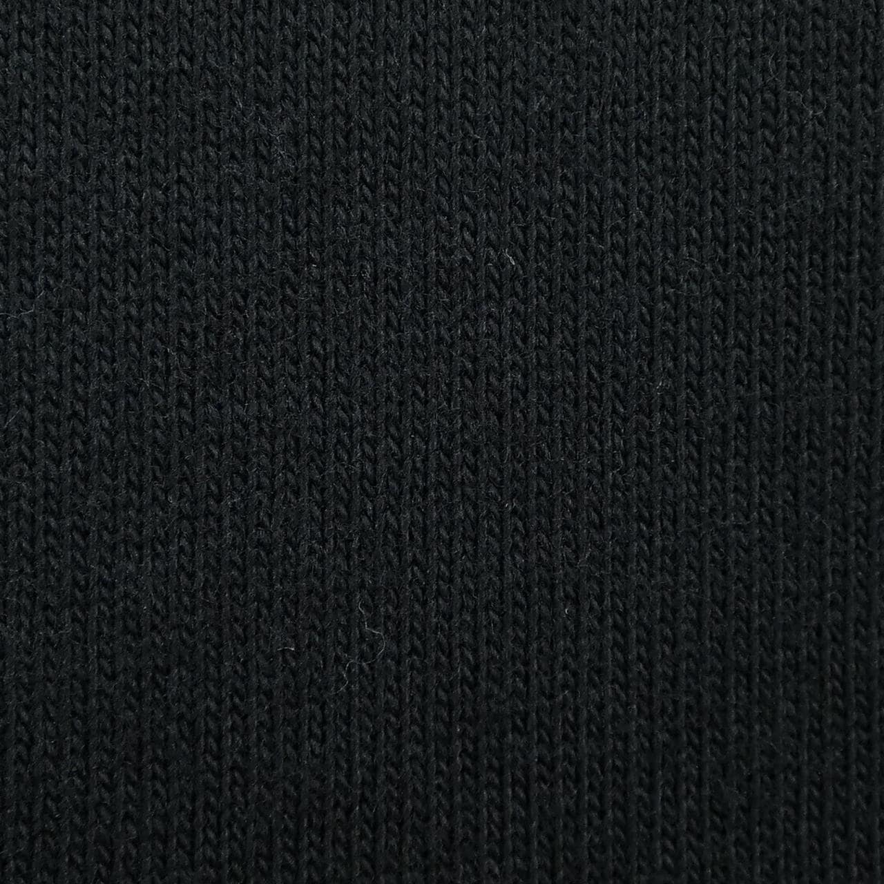 ロエベ LOEWE Tシャツ