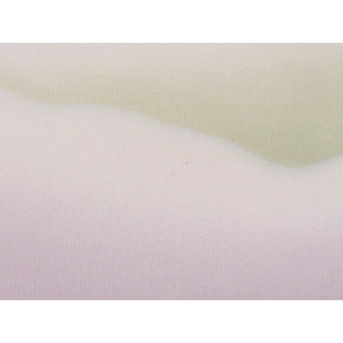 【未使用品】名古屋帯　二代目上野為二　塩瀬染帯