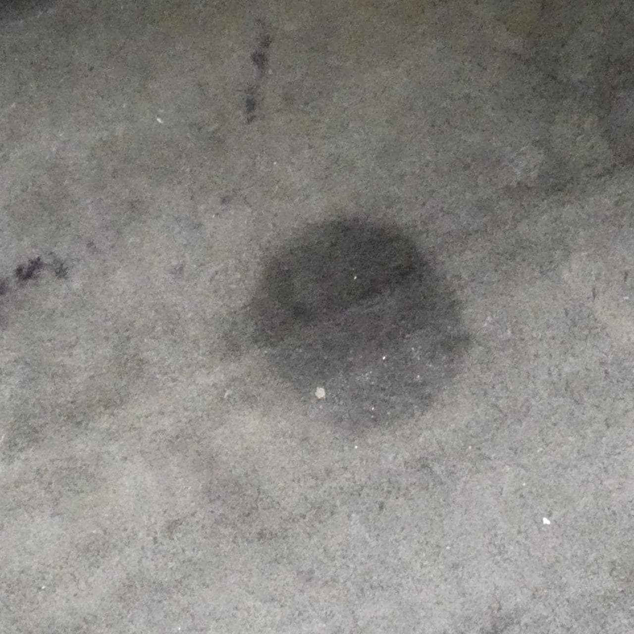 サンローラン CABAS MONOGRAM 357394 バッグ