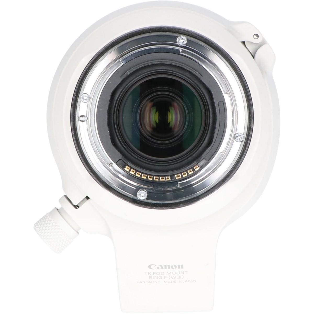 RF100-500mm F4.5-7.1L IS USM