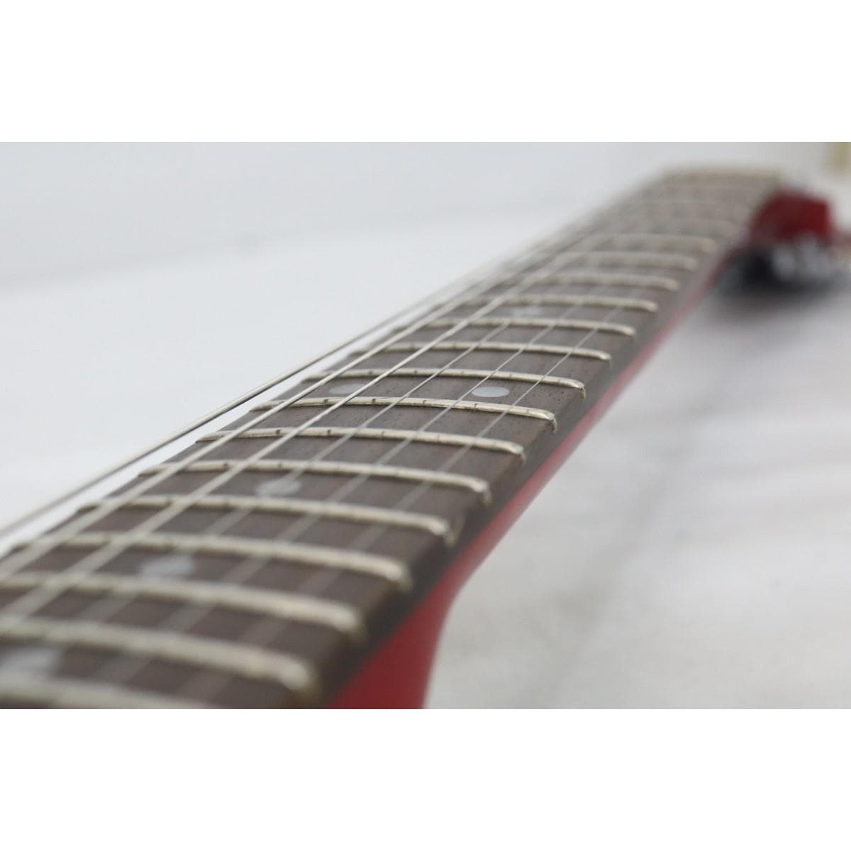 ＥＰＩＰＨＯＮＥ　　ＧＥＮＥＳＩＳ　ＳＴＡＮＤＡＲＤ