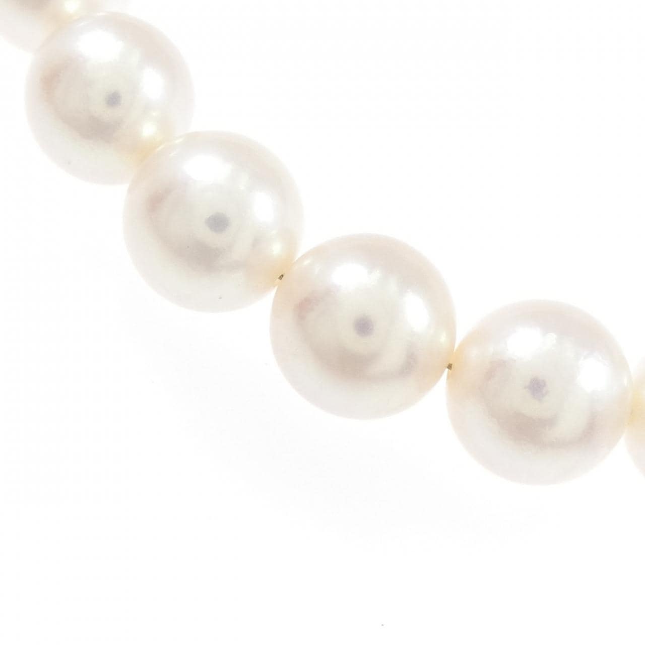 シルバークラスプ アコヤパール ネックレス 8.5-9mm