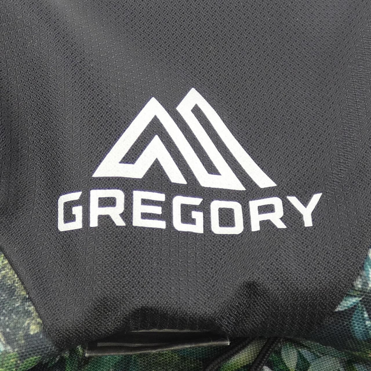 グレゴリー GREGORY PARAGON 126843 C311 BACKPACK