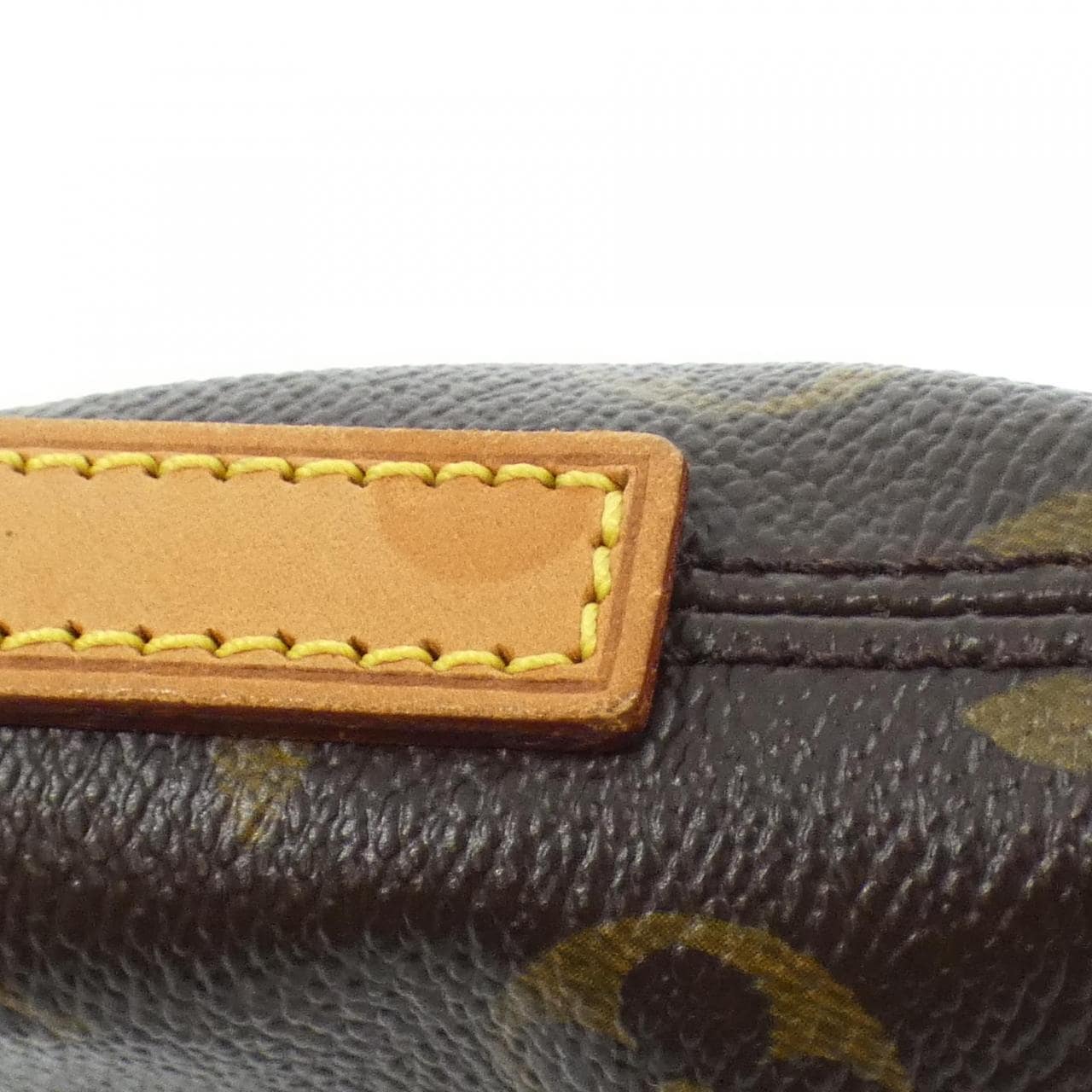 LOUIS VUITTON Monogram Panda Trotter M51241 Shoulder Bag