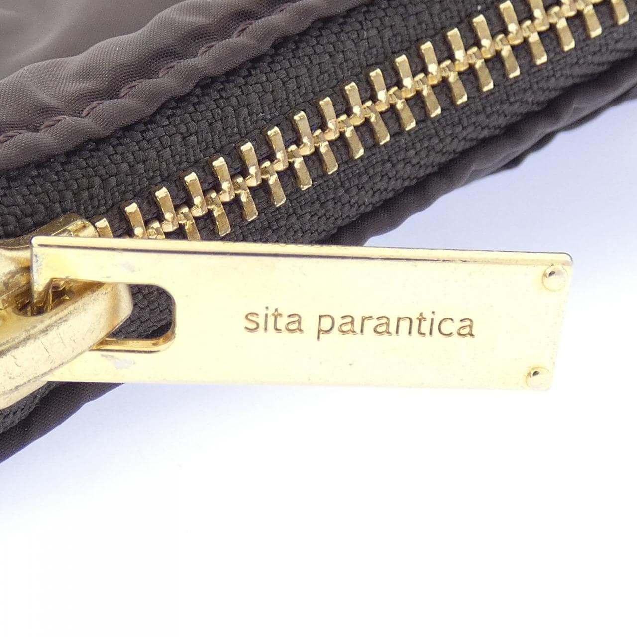 シータパランティカ sita parantica BAG