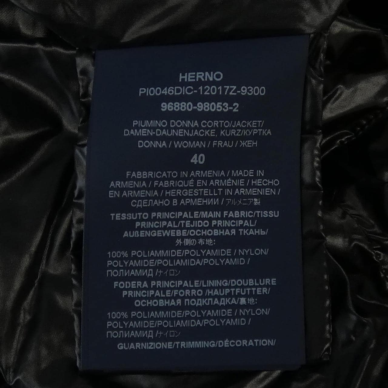 ヘルノ Herno PI0046DIC 12017Z 9300 ダウンジャケット