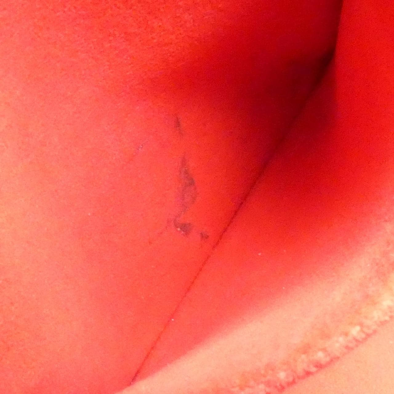 ルイヴィトン ダミエ ハムステッド PM N51205 バッグ