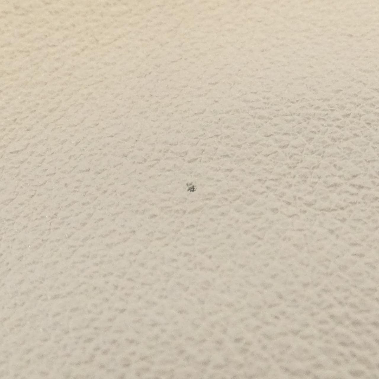 ロエベ フラメンコ クラッチ ミディアム A411FC1X62 バッグ