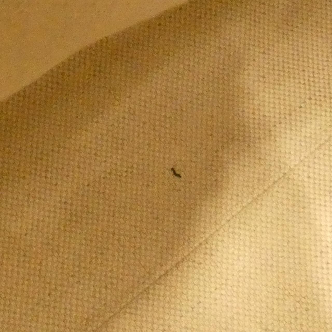 グッチ GG マーモント 421890 バッグ