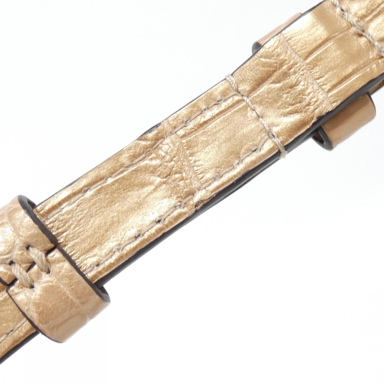 ルイヴィトン エキゾチック レザー カプシーヌ MINI バッグ