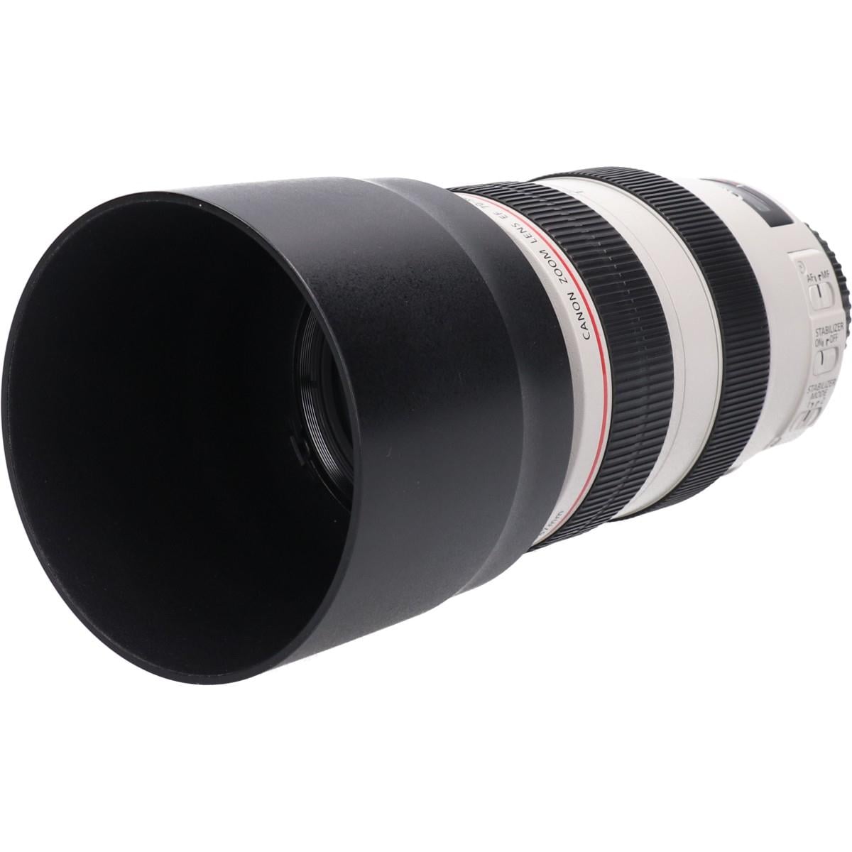 EF70-300mm F4-5.6L IS USM