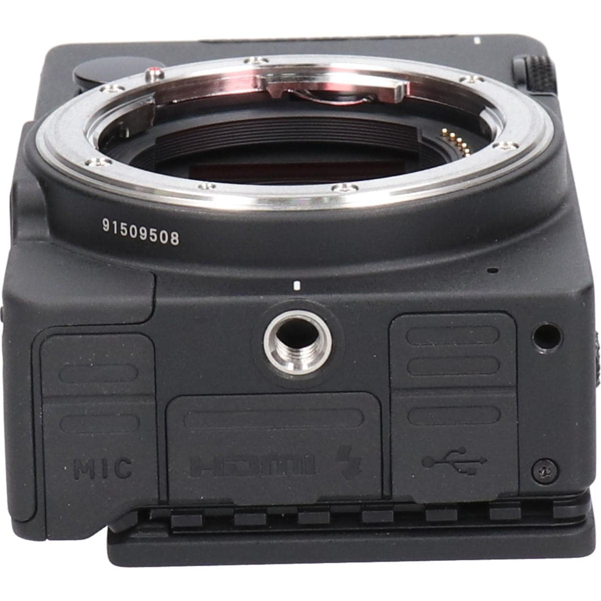 ＳＩＧＭＡ　ｆｐ　Ｌ＋ＥＶＦ－１１