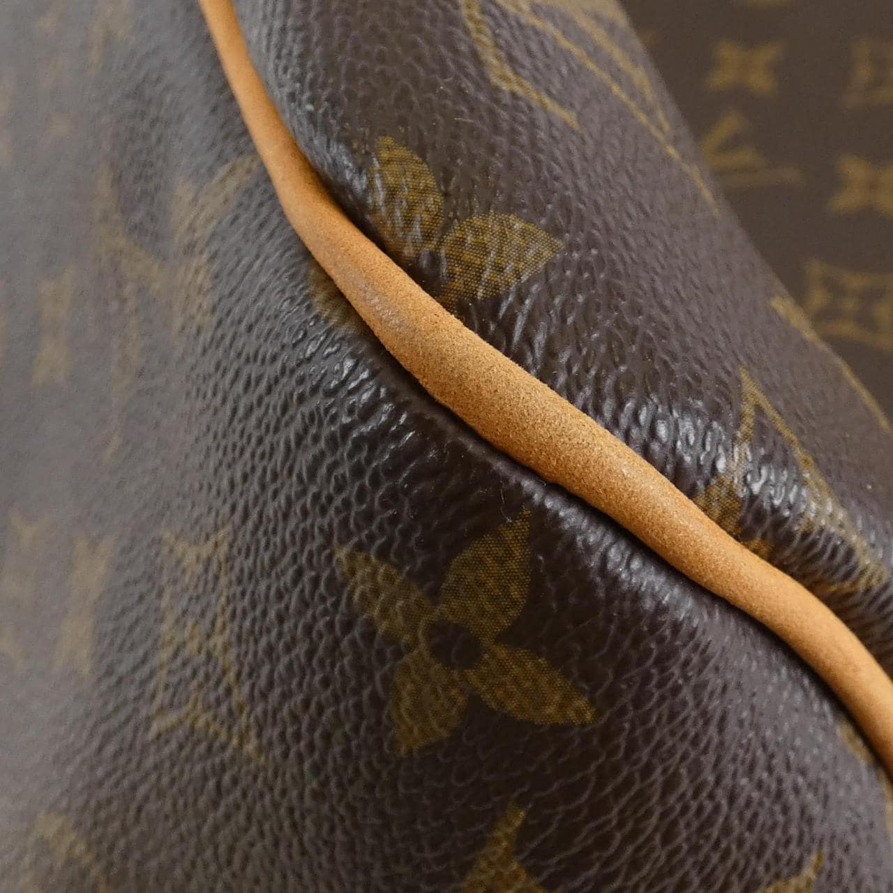 LOUIS VUITTON Monogram Delightful MM M40353 单肩包