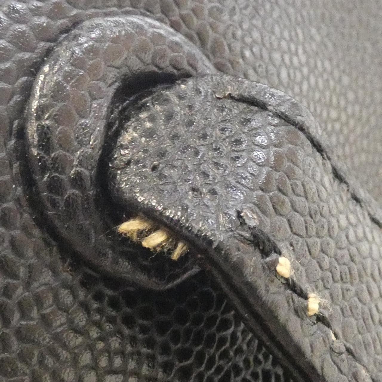 シャネル 25666 ショルダーバッグ