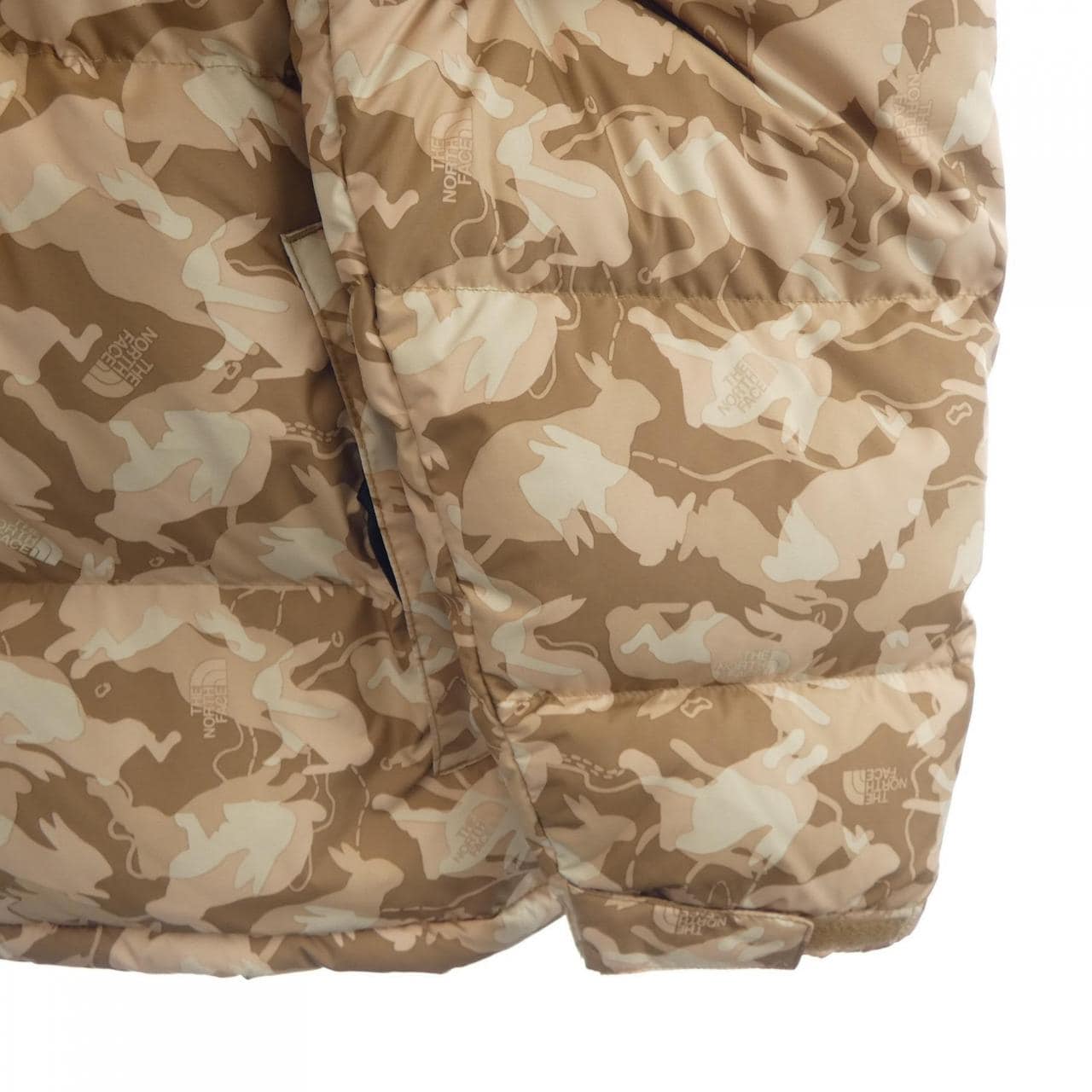 ザノースフェイス THE NORTH FACE NF0A3C8D ダウンジャケット