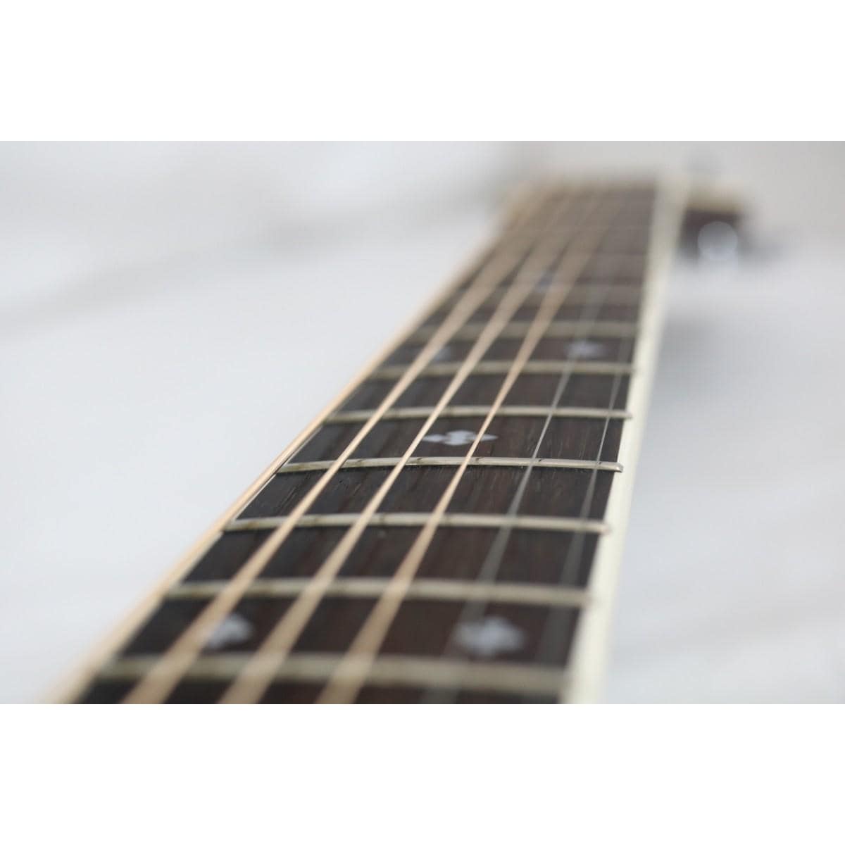 ＴＡＫＡＭＩＮＥ　　ＰＴ－１０８