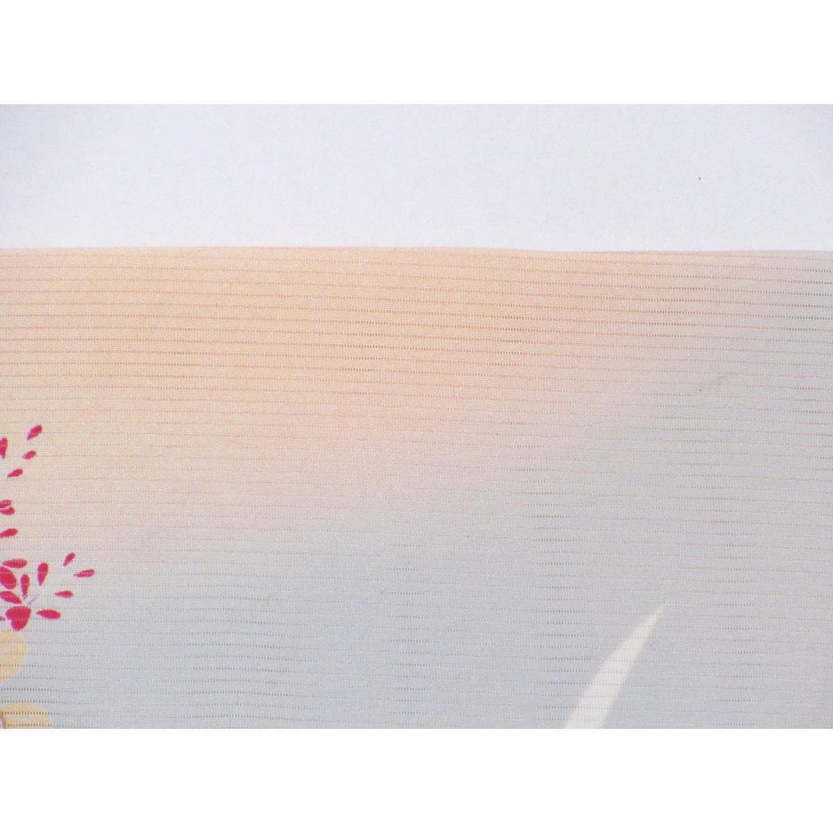 【未使用品】単衣　駒絽訪問着　友禅金彩加工　刺繍入りボカシ染