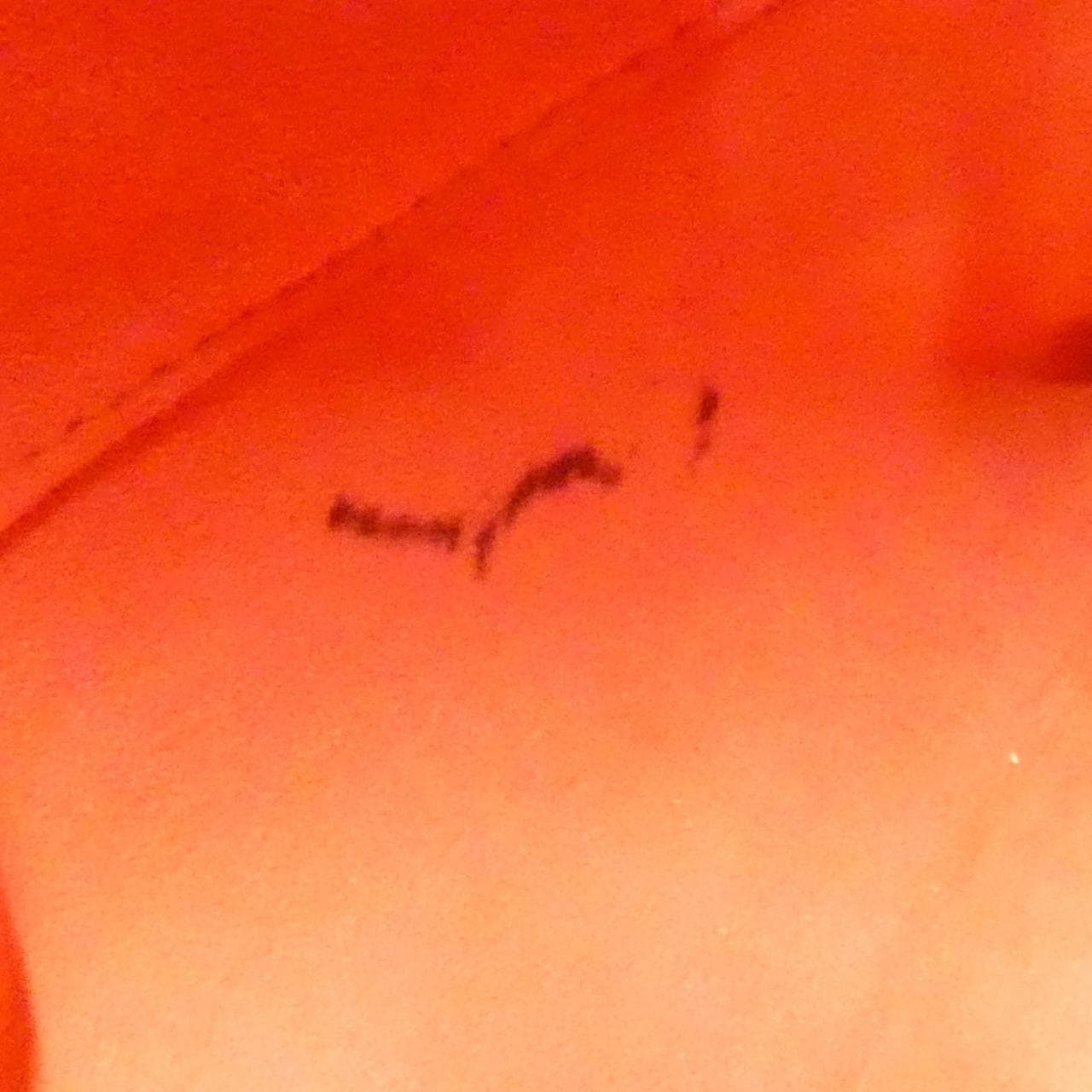 ルイヴィトン ダミエ サレヤ MM N51182 バッグ