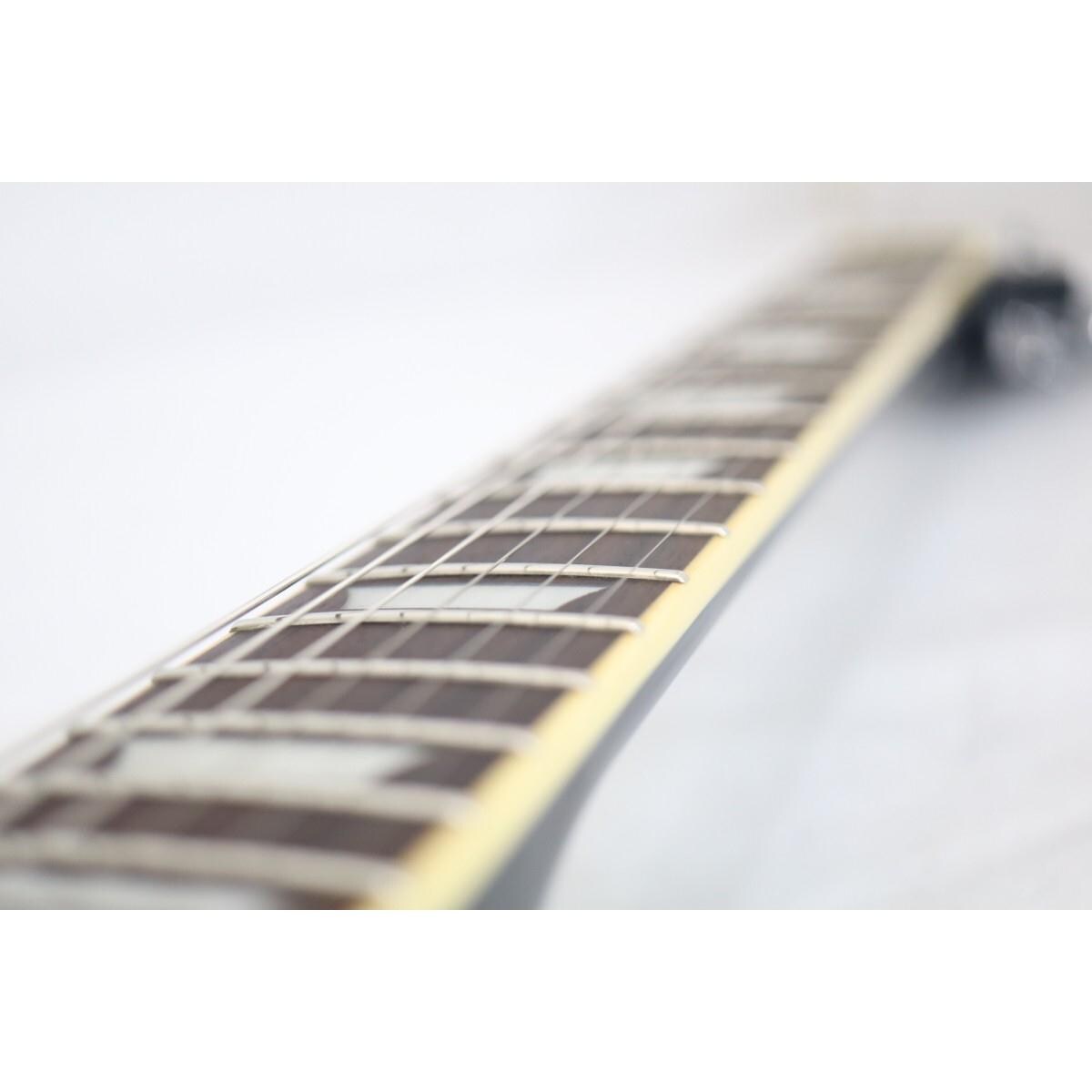 ＥＰＩＰＨＯＮＥ　ＬＥＳ　ＰＡＵＬ　ＳＴＡＮＤＡＲＤ