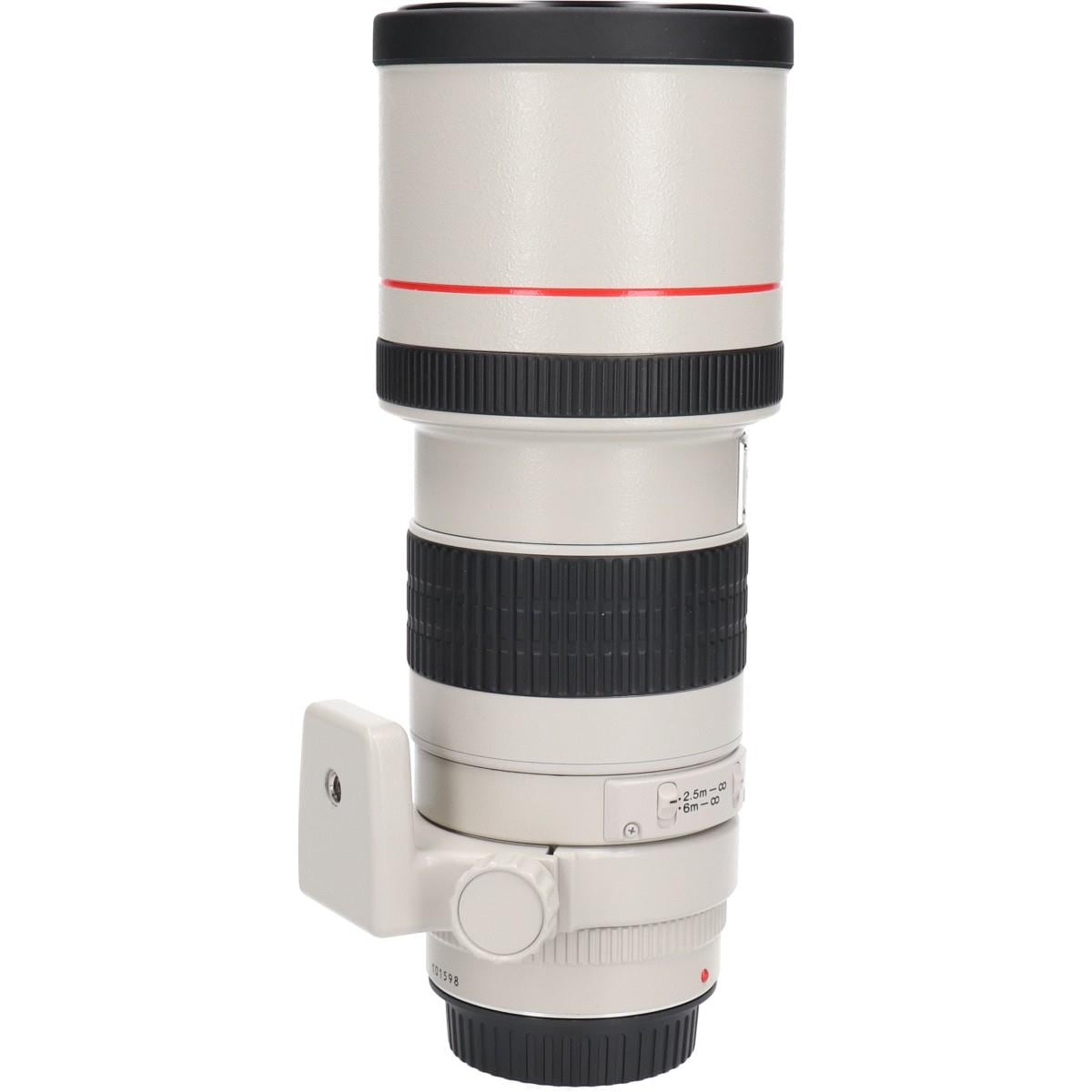 ＥＦ３００ｍｍ　Ｆ４Ｌ　ＵＳＭ
