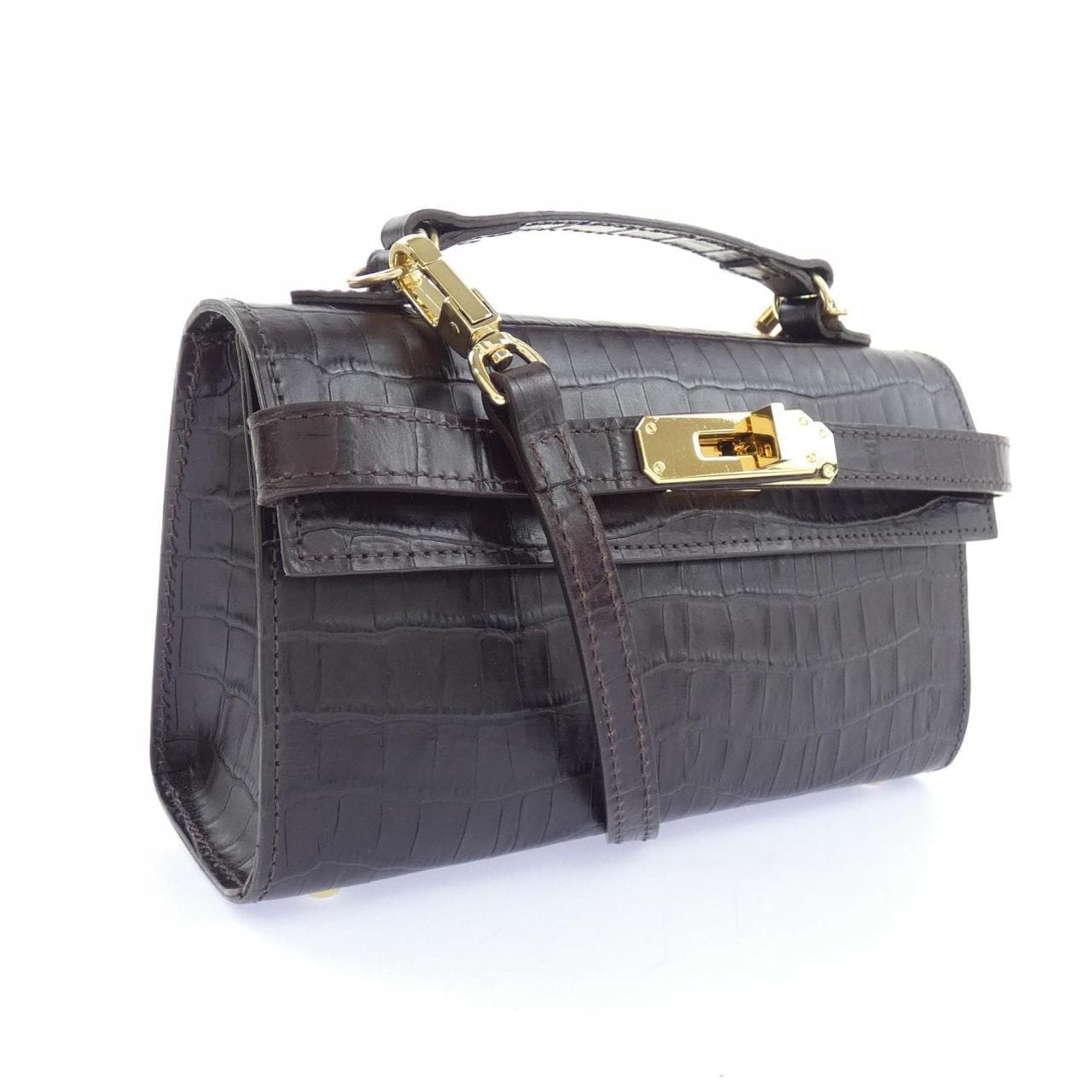 シータパランティカ sita parantica BAG