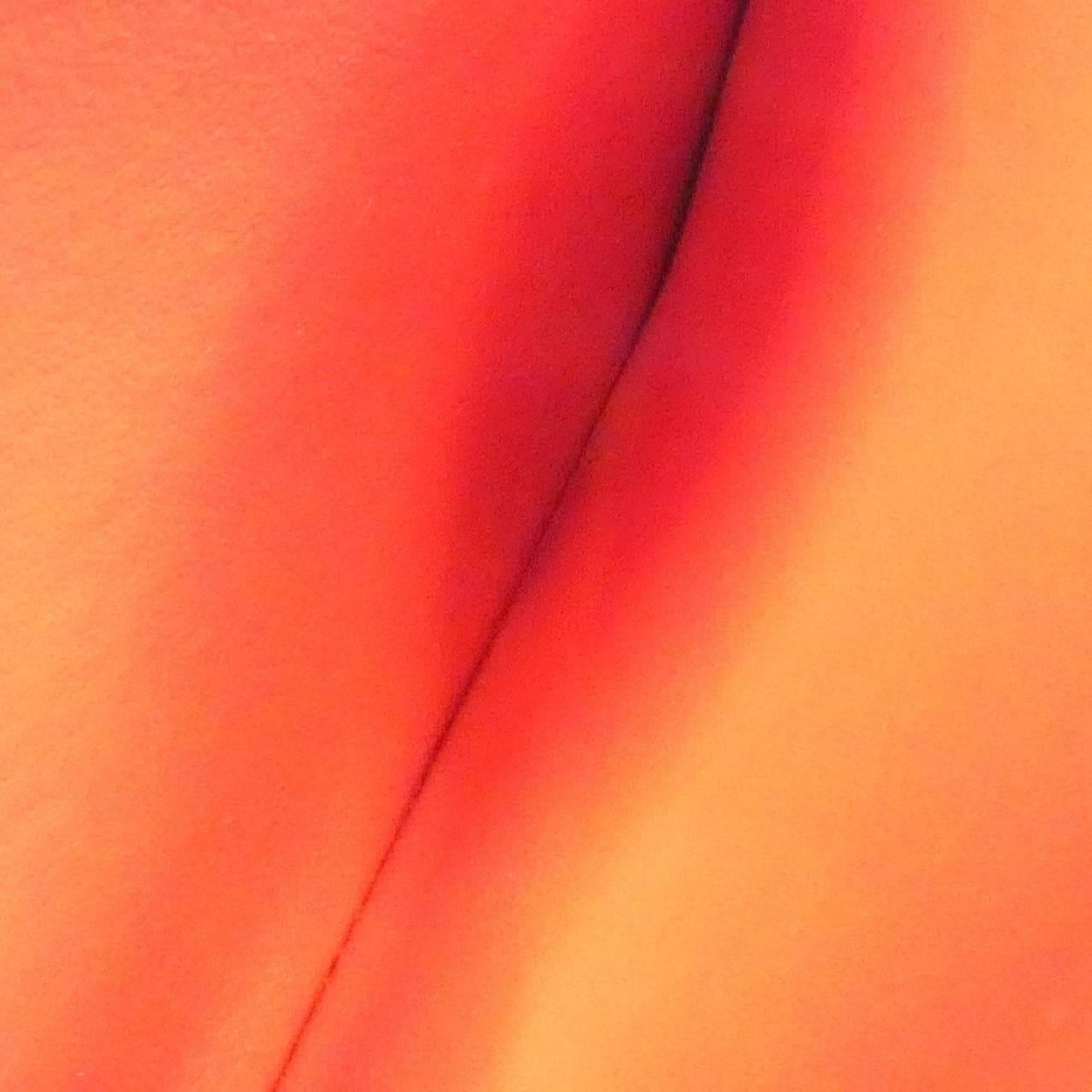 ルイヴィトン モノグラム アンプラント(LV X YK) ポルトフォイユ サラ M81909 財布