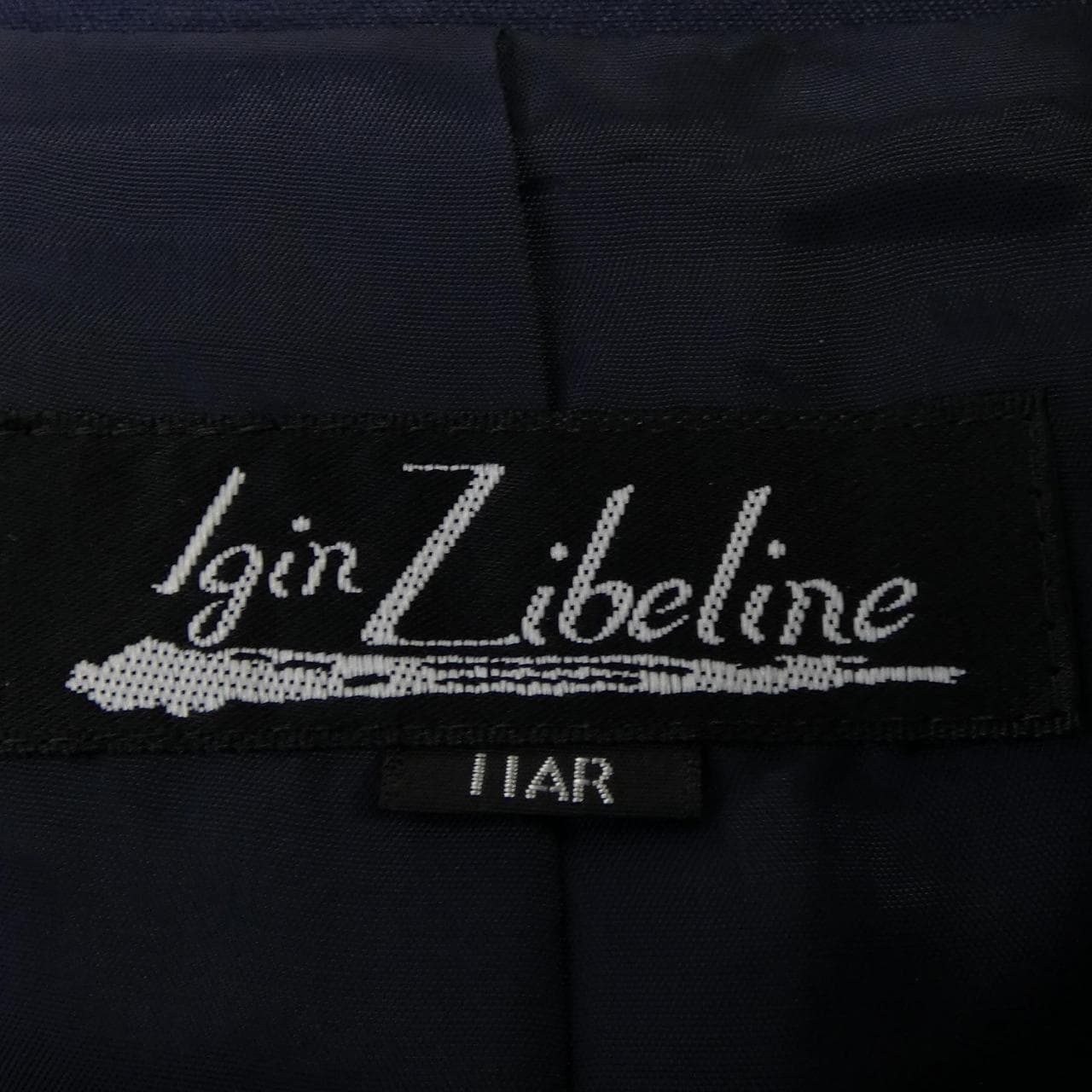 IGIN セットアップ
