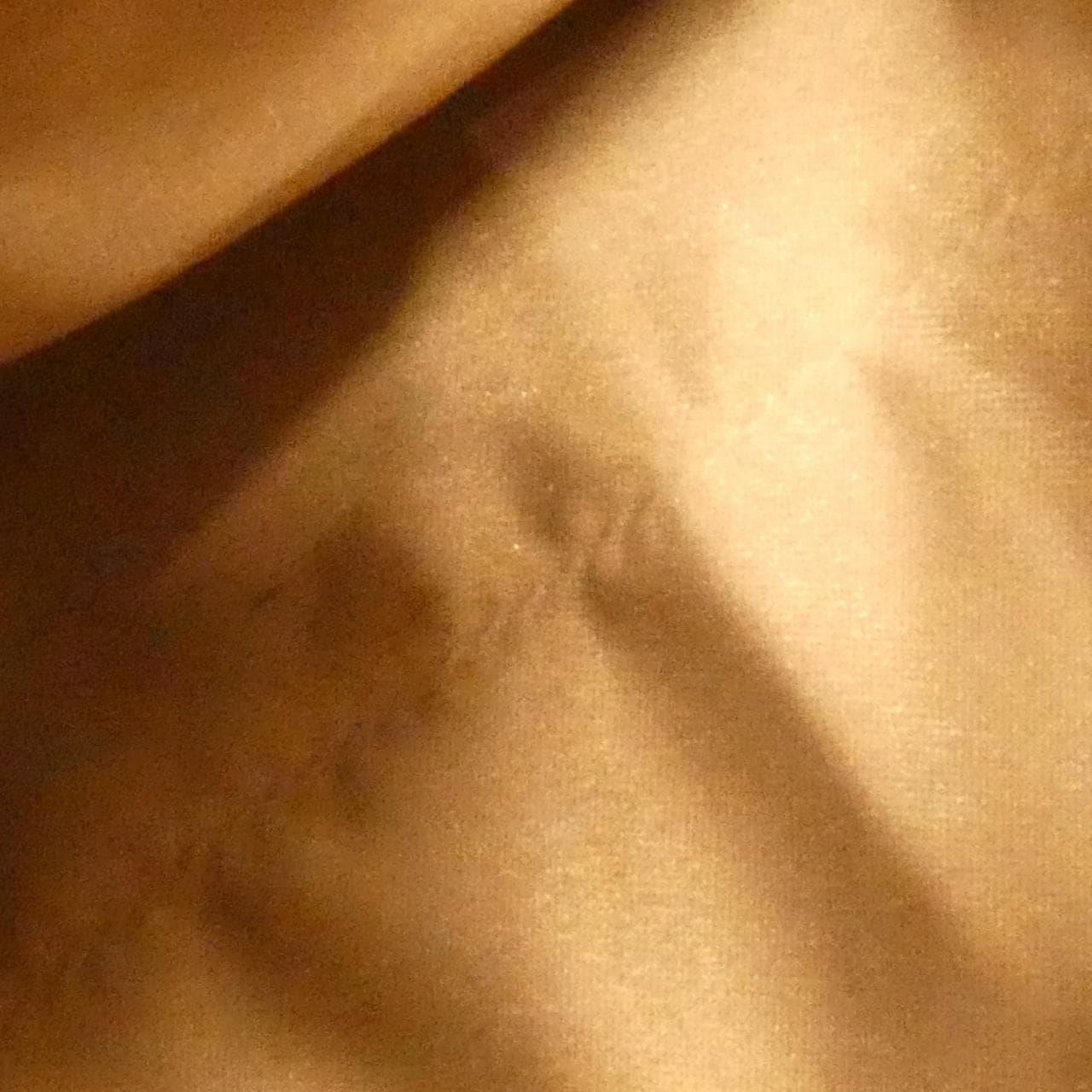 サルヴァトーレフェラガモ キャリー 21 F570 バッグ