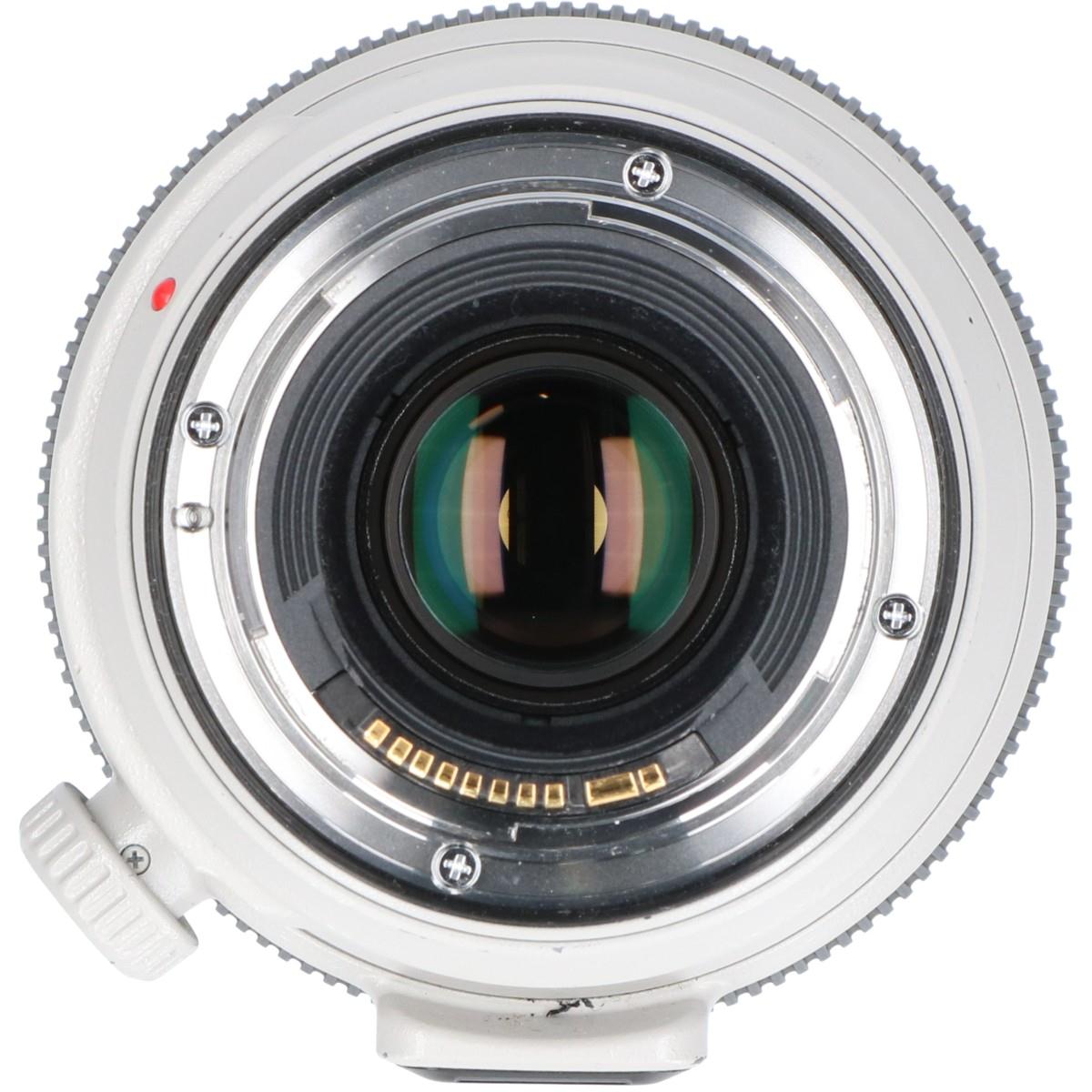 EF100-400mm F4.5-5.6L IS II