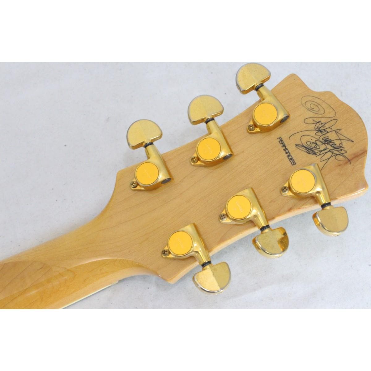 FERNANDES MG-120X