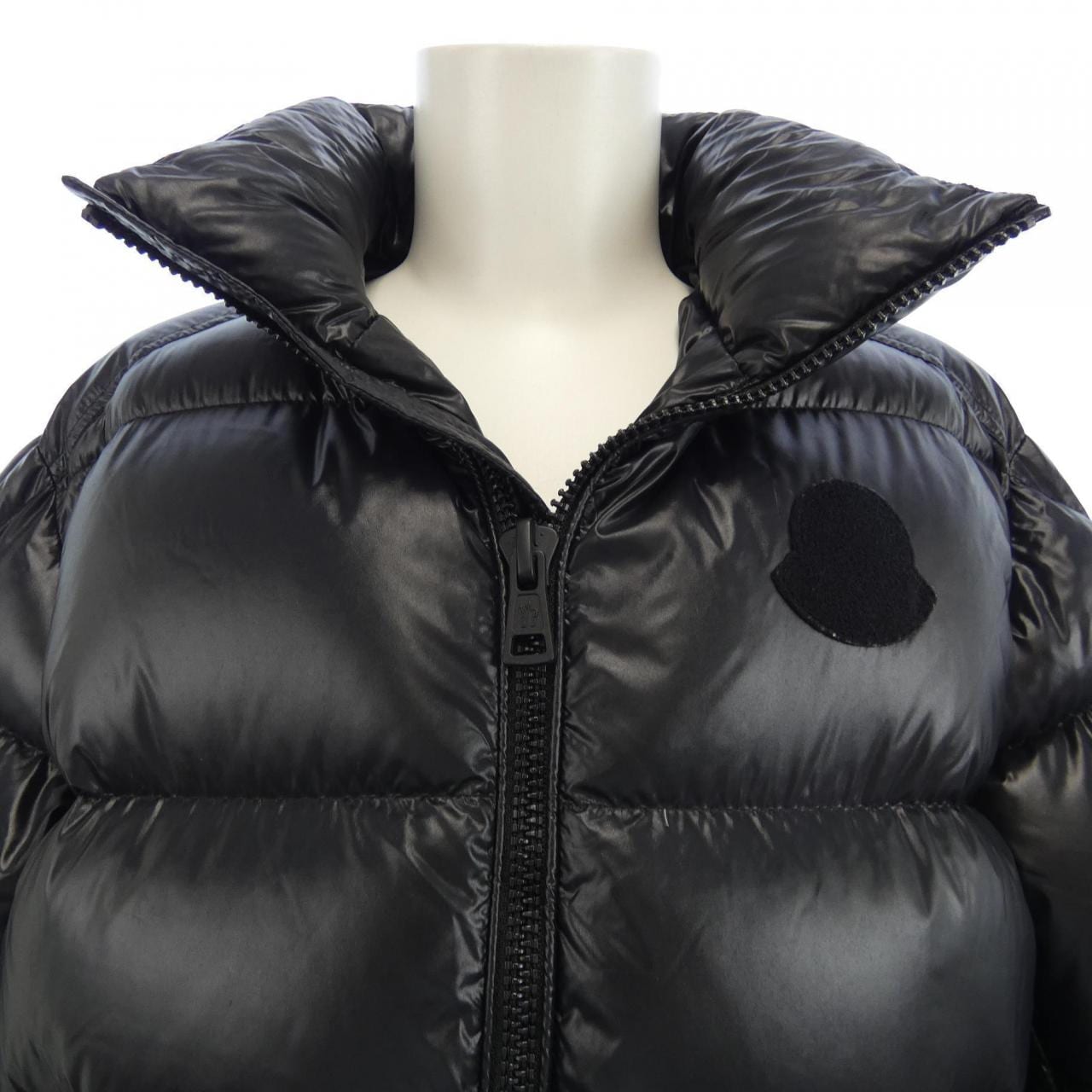 MONCLER Genius Down Jacket