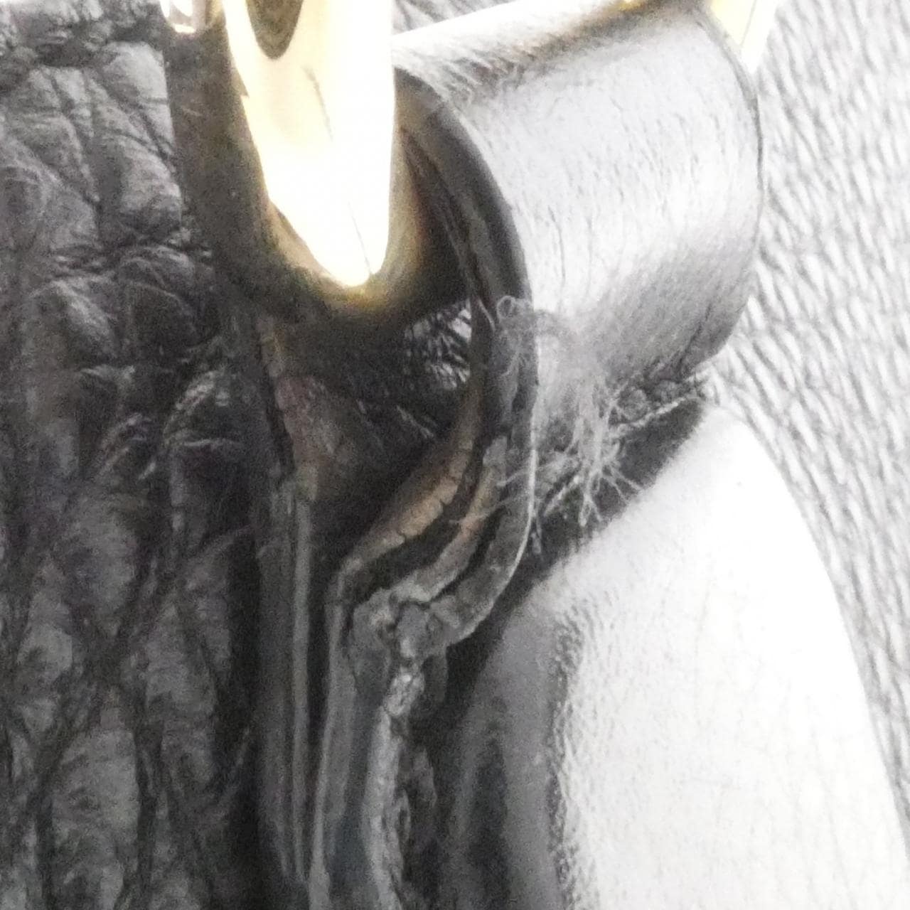 グッチ 308363 A7M0G バッグ