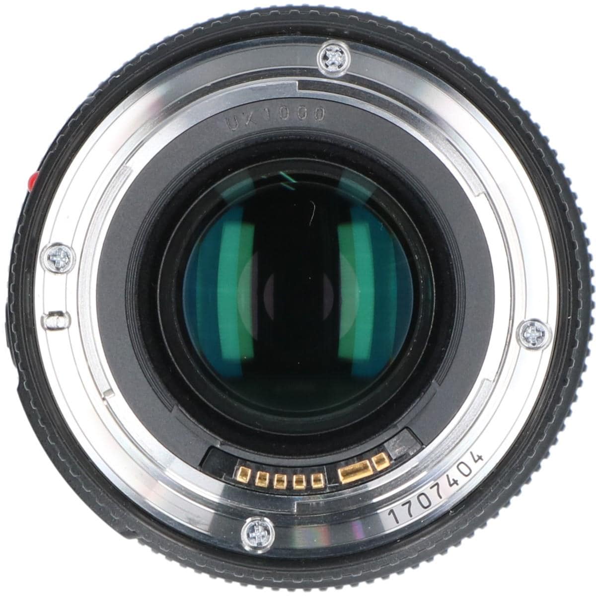 ＥＦ１００ｍｍ　Ｆ２．８Ｌ　ＭＡＣＲＯ　ＩＳ　ＵＳＭ