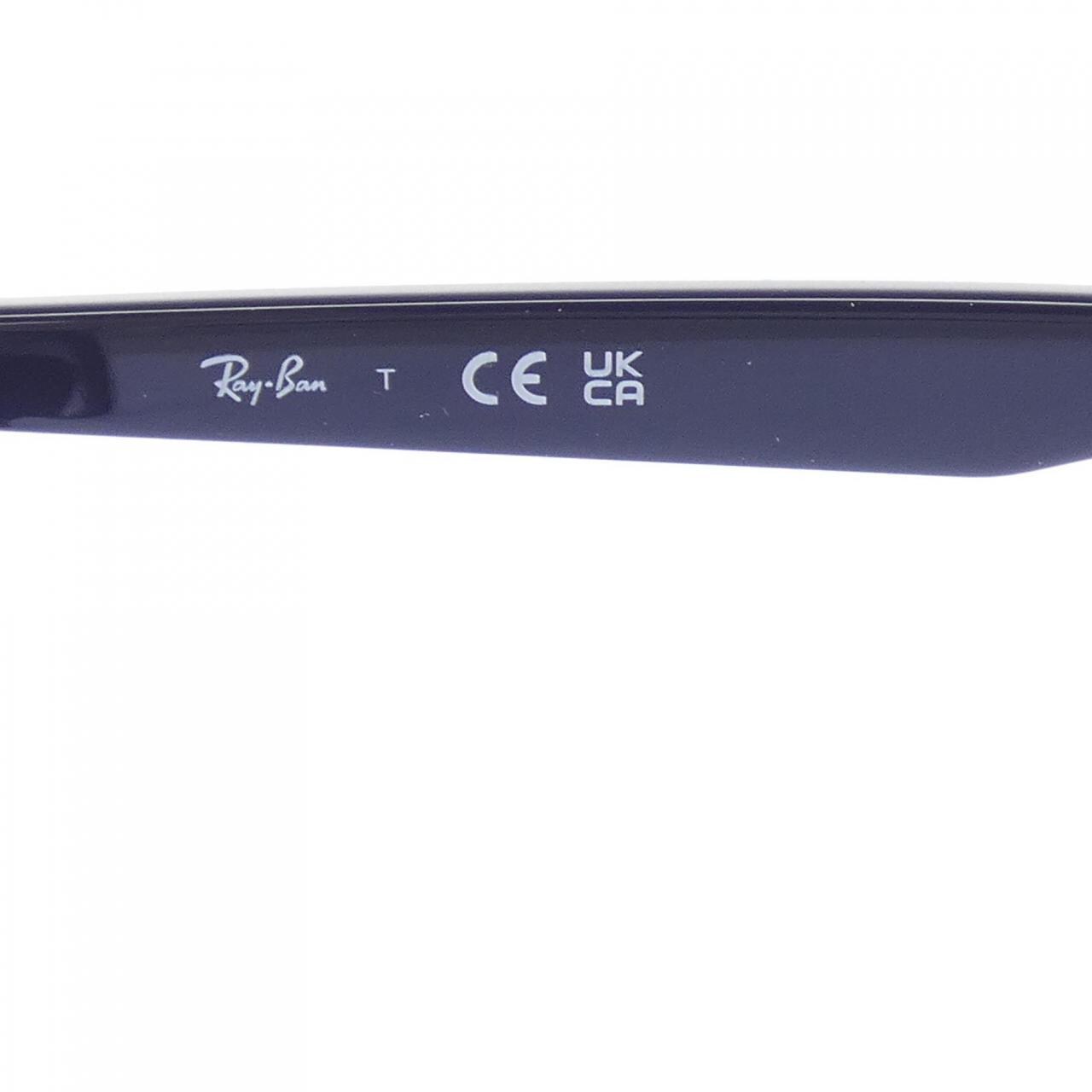 レイバン Ray Ban RB4258F SUNGLASSES