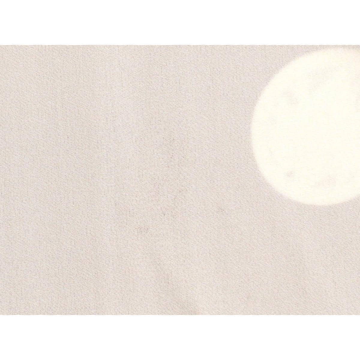 男物　黒羽二重　丸に揚羽蝶　きもの・羽織　２点セット